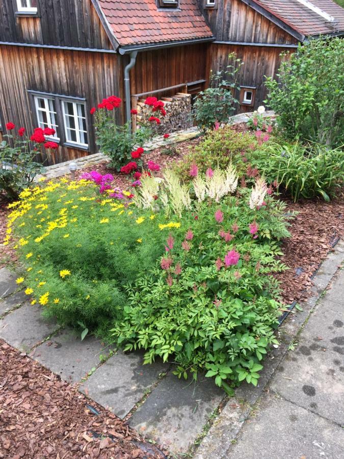 Hotel Haus Bergfriede Bad Schandau Esterno foto